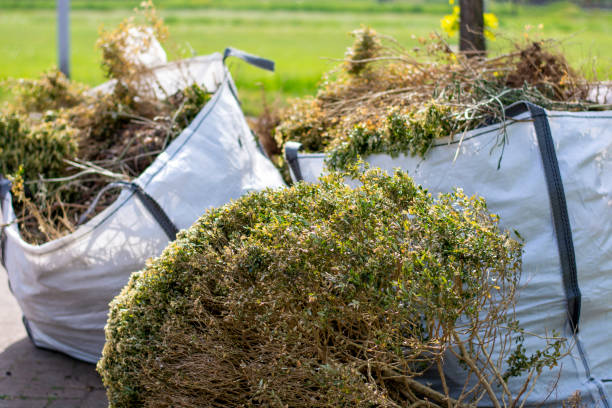 Recycling Services for Junk in Langley, SC