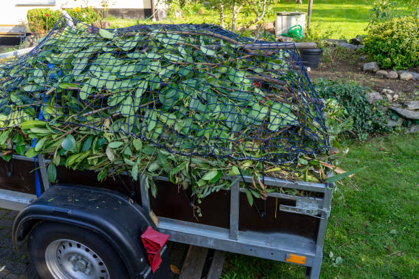 Best Electronics and E-Waste Disposal  in Langley, SC